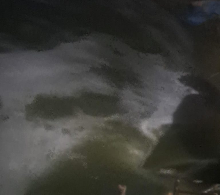 IMG-20260728-WA0011