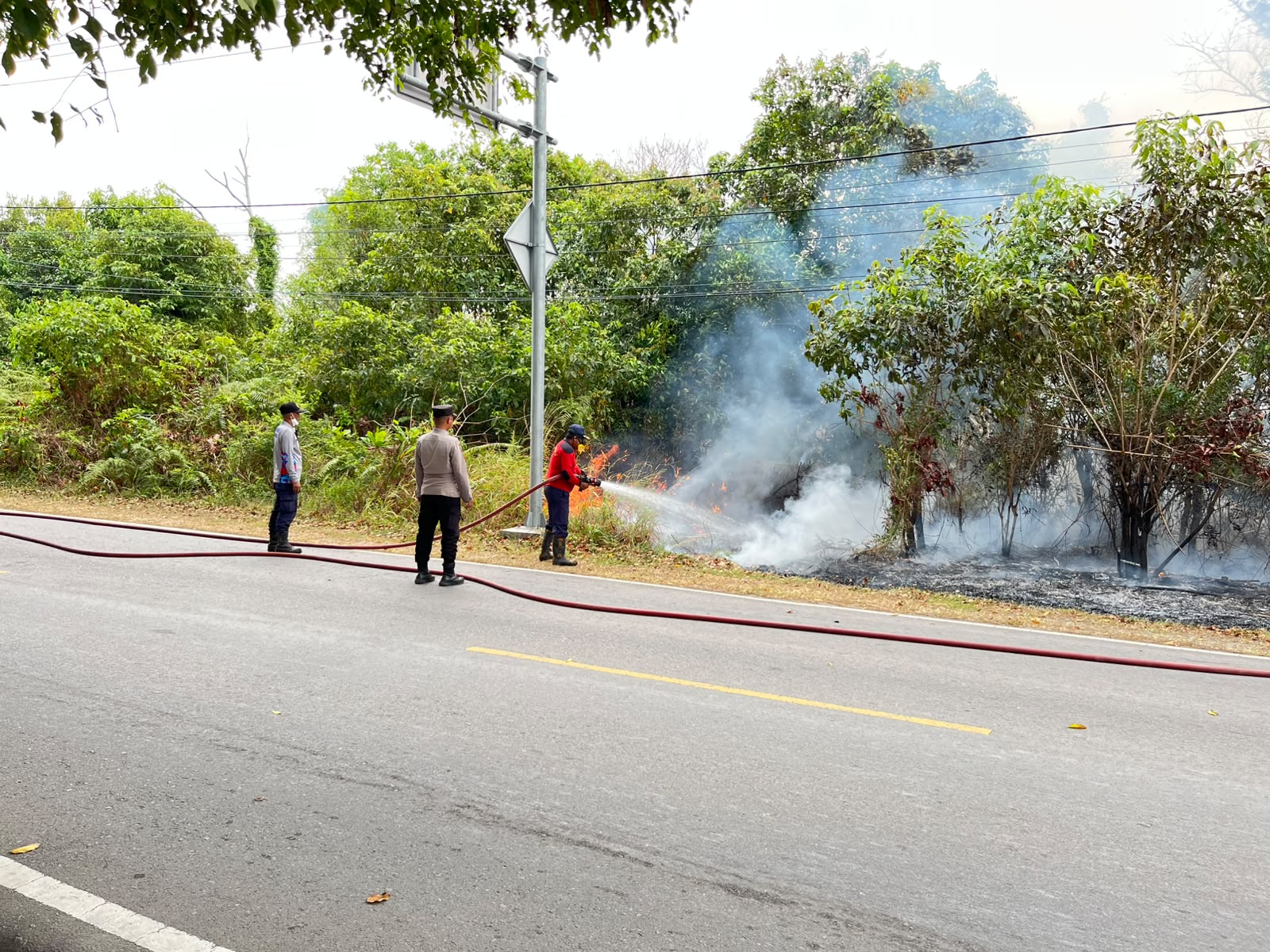 IMG-20260915-WA0067